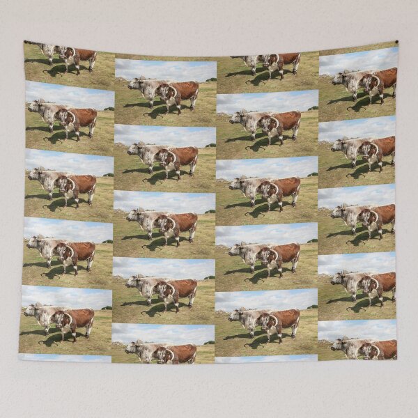 Item preview, english longhorn cattle designed and sold by markspics.