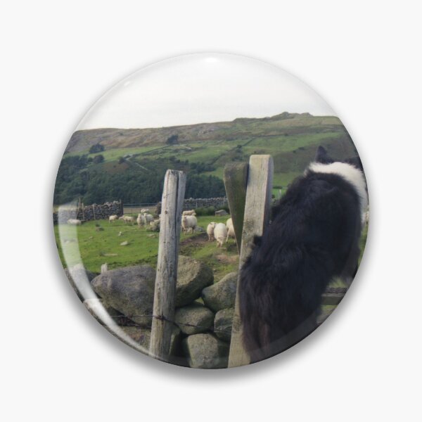Item preview, Life in the Old Dog yet designed and sold by Michael Haslam.