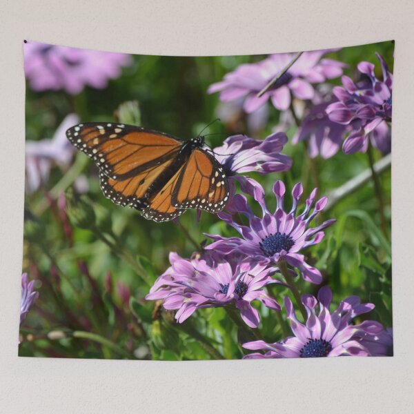 Item preview, Monarch and the field of purple daisies designed and sold by lizdomett.