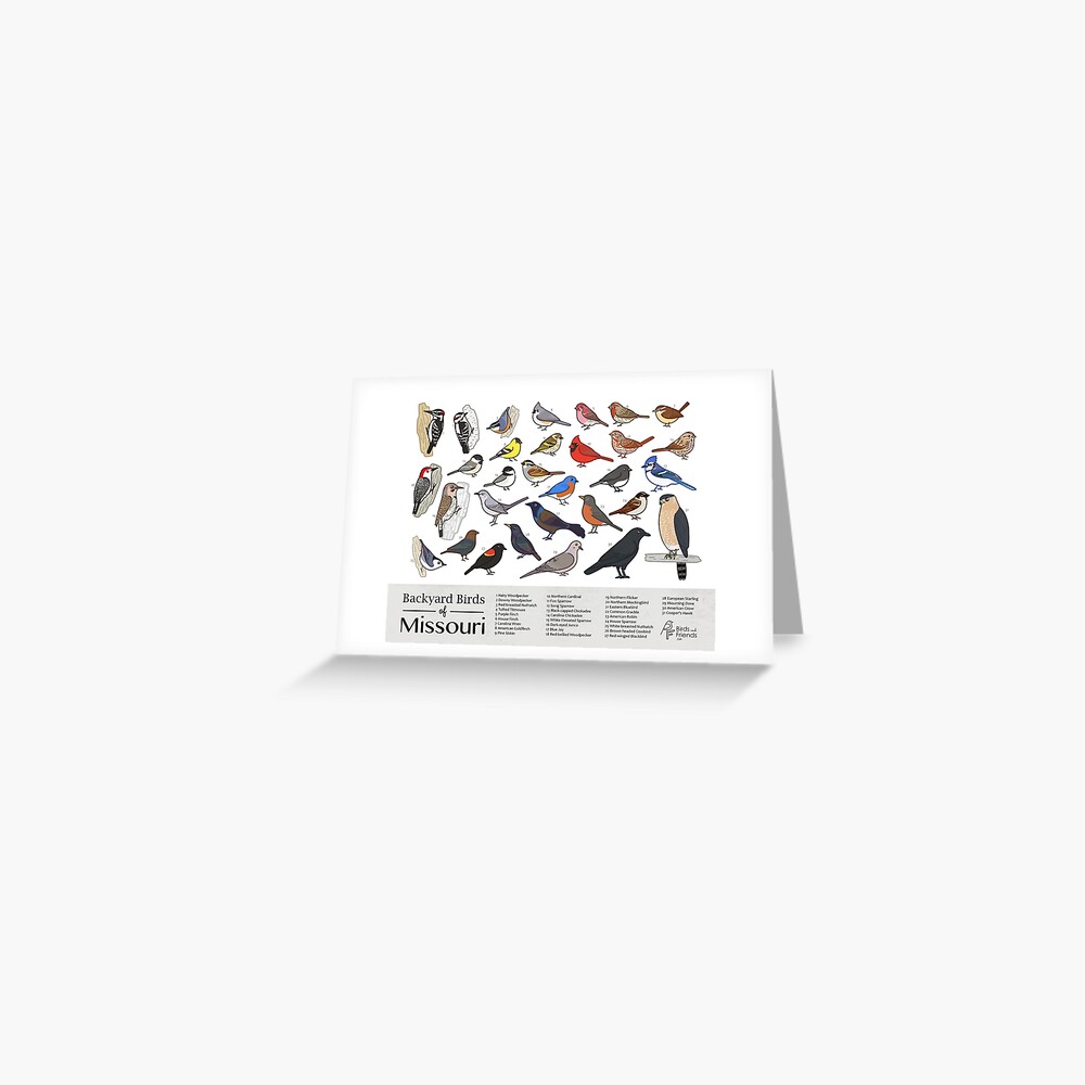 Item preview, Greeting Card designed and sold by BirdsandFriends.