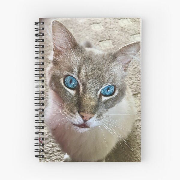 Item preview, Raggie Blue Eyes designed and sold by Carol Bleasdale.