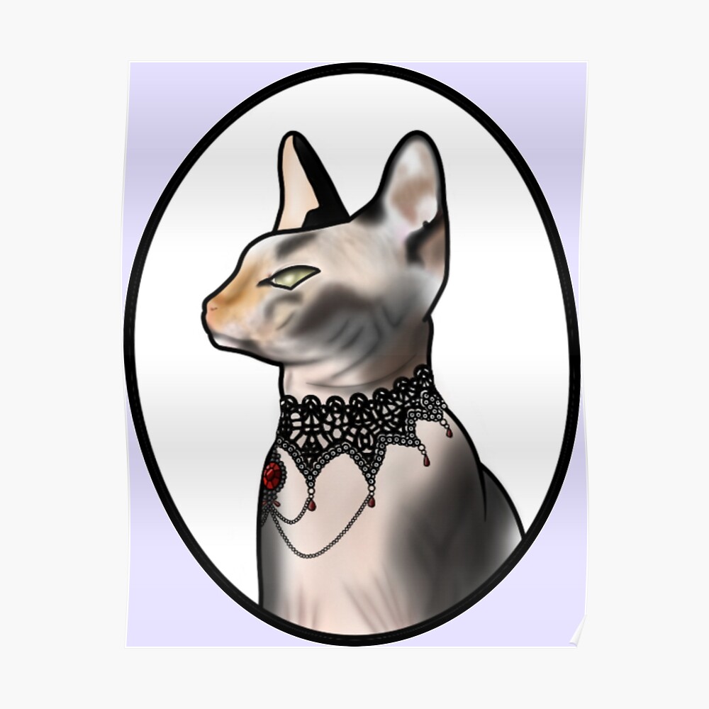 jeweled sphynx pet place