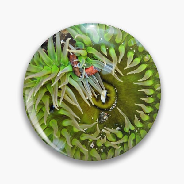 Item preview, Green Glory designed and sold by Emily Noyes.