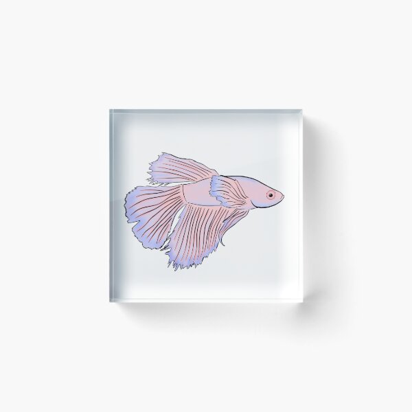 Item preview, Pink Dumbo Betta designed and sold by mnordycreations.