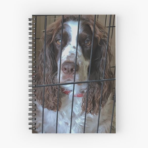 Item preview, Culpable como acusado! designed and sold by Carol Bleasdale.