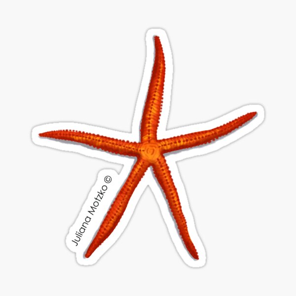 Velvety Sea Star Sticker