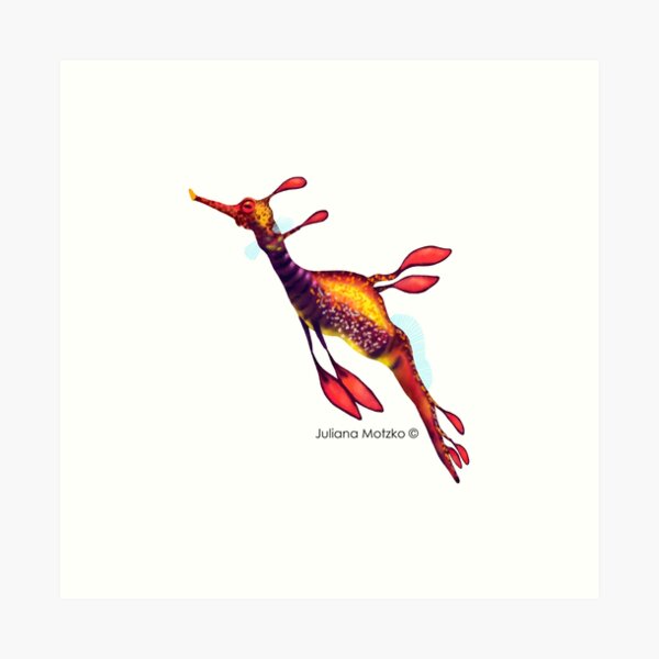 Weedy Seadragon Art Print