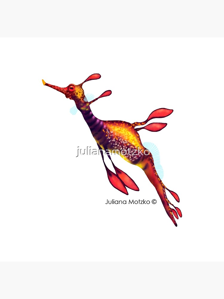 Weedy Seadragon by julianamotzko