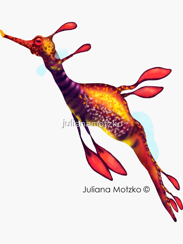 Weedy Seadragon by julianamotzko