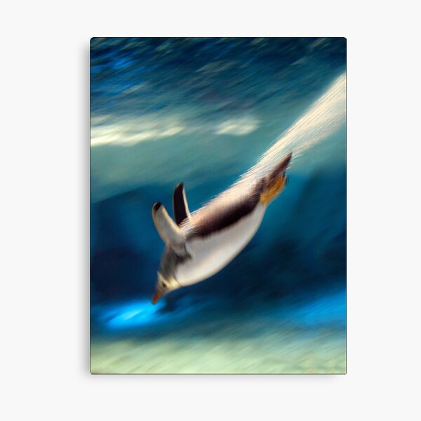 zzooooooooooooomm Canvas Print