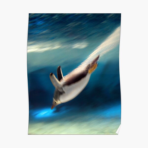 zzooooooooooooomm Poster