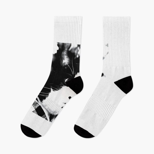 Item preview, Feline Focus designed and sold by DonnaM.