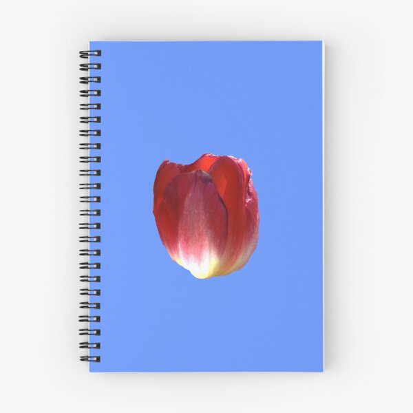 Artikelvorschau, Tulpe entworfen und verkauft von eevee135.