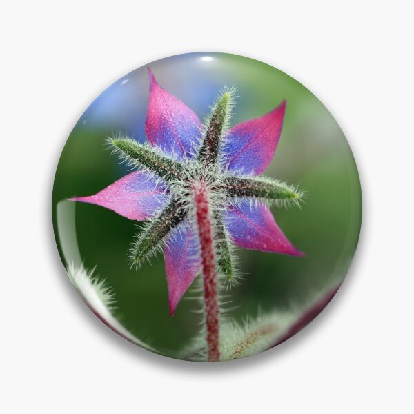 Item preview, Borage designed and sold by elainefg.