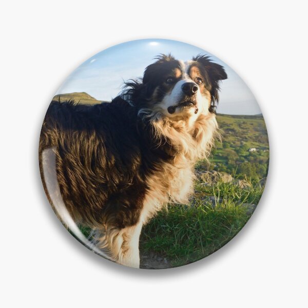 Item preview, Travels with Laddie. designed and sold by Michael Haslam.