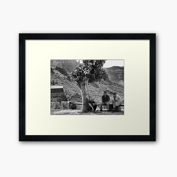 The Shade Tree Framed Art Print