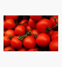 Red Tomatoes Photographic Print