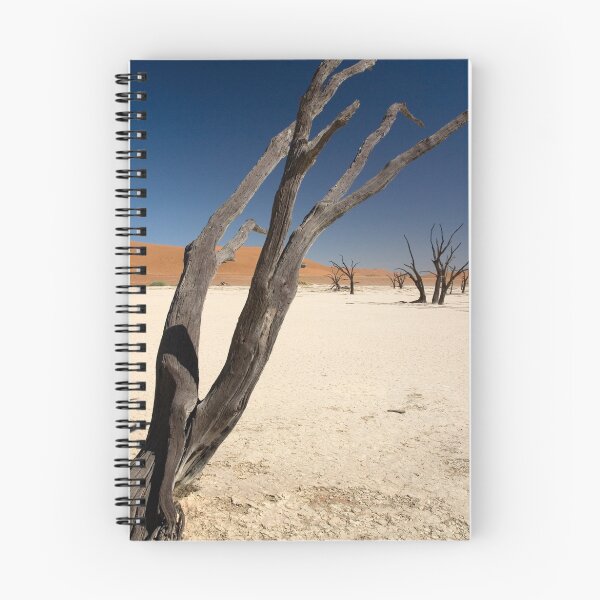 Item preview, Sand Sea, Dead Vlei  designed and sold by David Tovey.