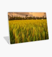 Vinilo para portátil Arroz