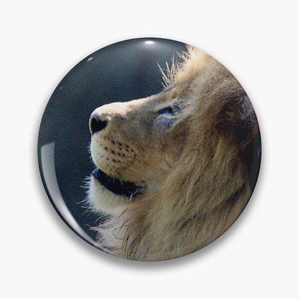 Item preview, Profile designed and sold by Carol Bock.