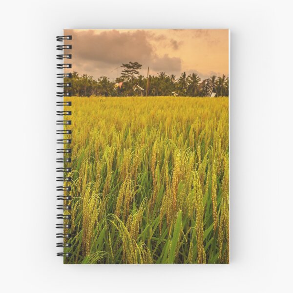 Item preview, Rice designed and sold by Kurt Petersen.
