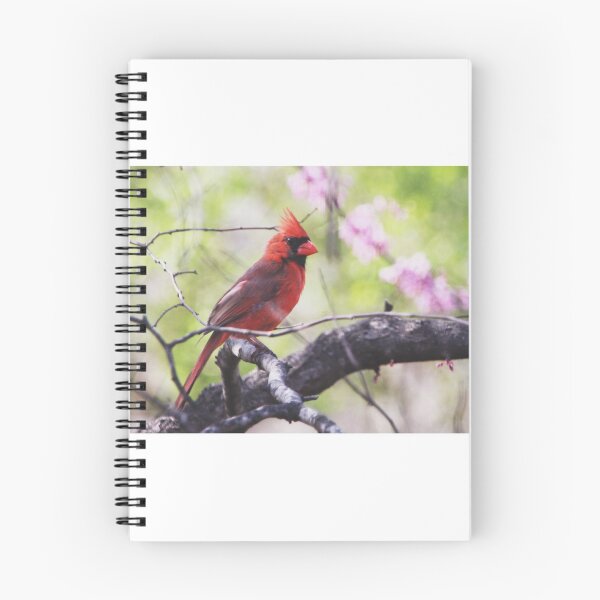 Item preview, Cardinal designed and sold by Carol Bock.