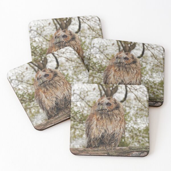 Item preview, Wet Owl designed and sold by Carol Bock.