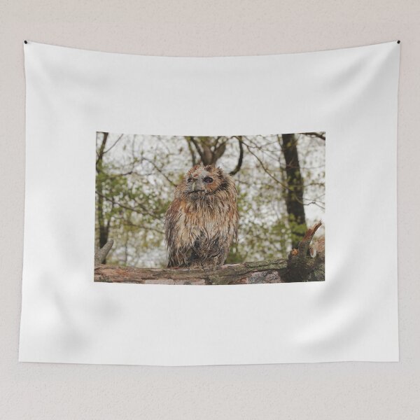 Item preview, Wet Owl designed and sold by Carol Bock.