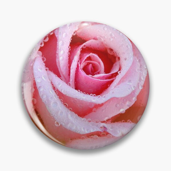 Item preview, The Beautiful Pink Rose designed and sold by paulwhitephotos.