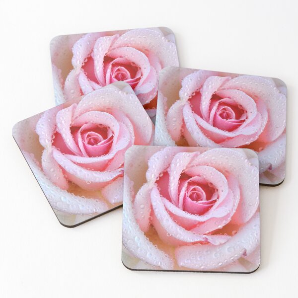 Item preview, The Beautiful Pink Rose designed and sold by paulwhitephotos.