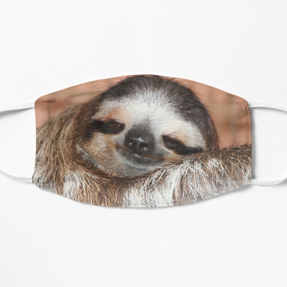 sloth face mask