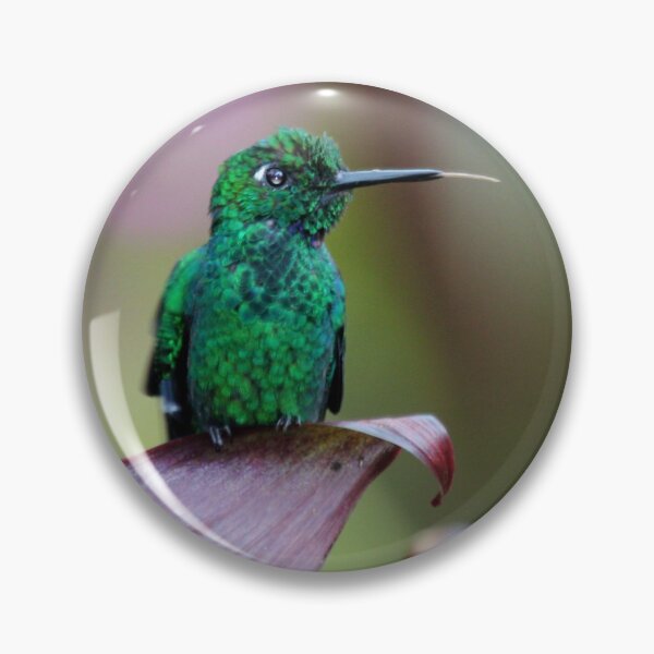 Item preview, Hummingbird designed and sold by Carol Bock.