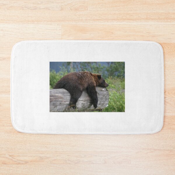 Artikelvorschau, Bear Sleeping entworfen und verkauft von Carol Bock.