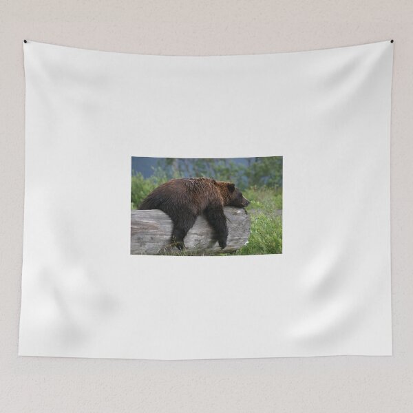 Artikelvorschau, Bear Sleeping entworfen und verkauft von Carol Bock.