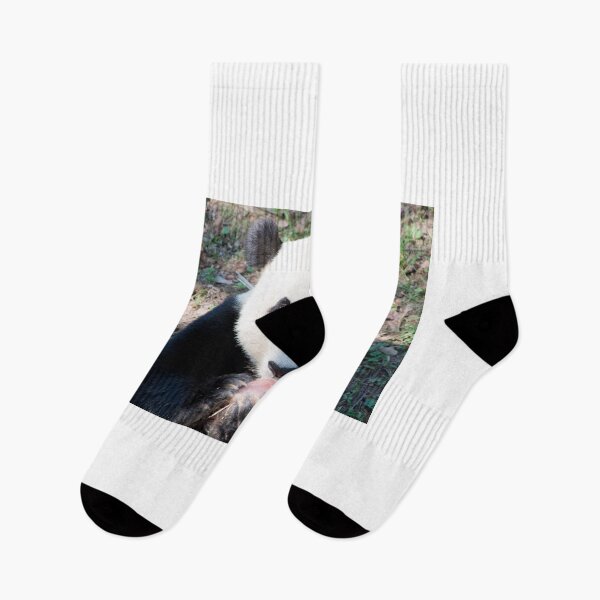 Item preview, Giant Panda and Treat designed and sold by Carol Bock.