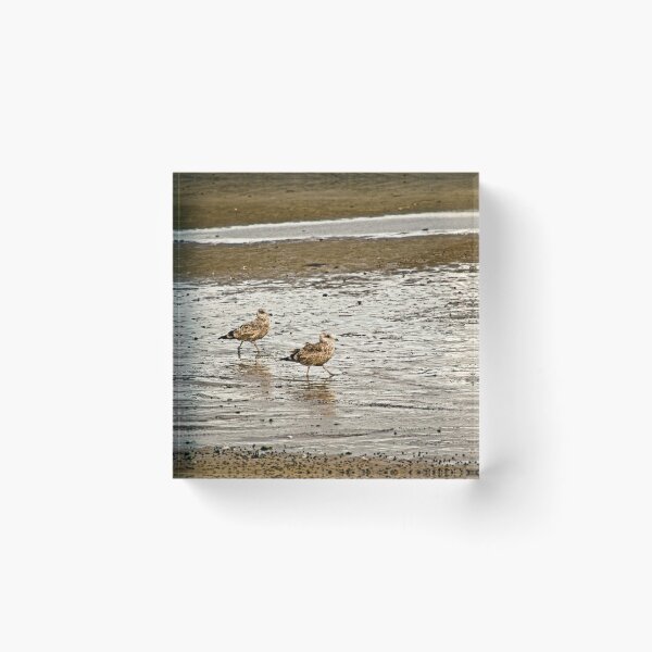 Item preview, Beach Birds designed and sold by wonderlandnyc.