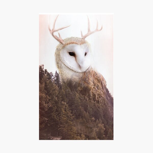 One with Nature Photographic Print