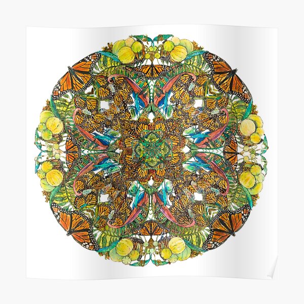 Monarch Metamorphosis Poster