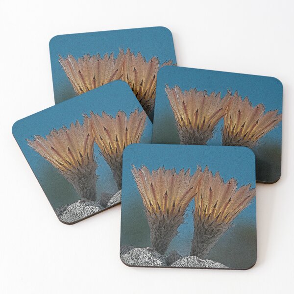 Item preview, Bishop's Cap Cactus Flowers designed and sold by NossubGallery.