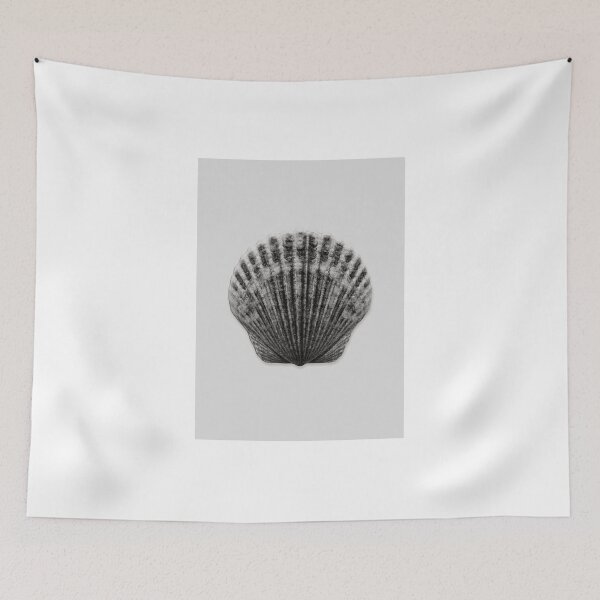Item preview, seashell designed and sold by frangipanms.