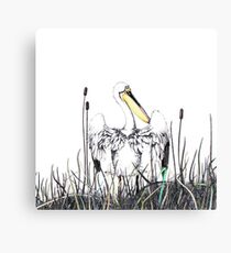 Feathers Canvas Print