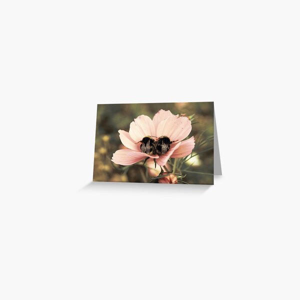 Bumblesnugs Greeting Card