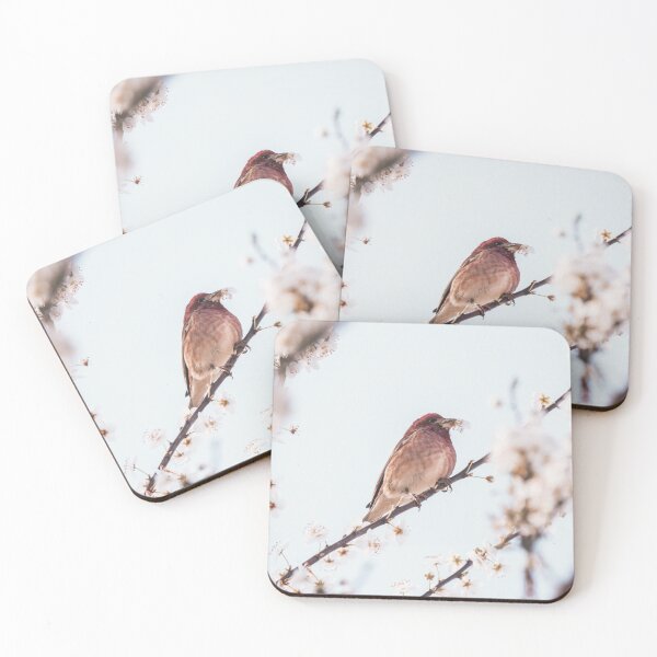 Item preview, Cassin's finch designed and sold by thecameraville.