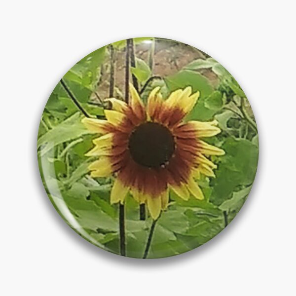 Item preview, Sunflowers on Virginia Farm designed and sold by thedelkartist.
