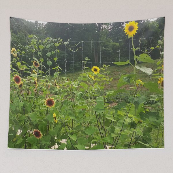 Item preview, Sunflowers on Virginia Farm designed and sold by thedelkartist.