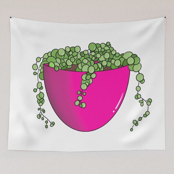 Item preview, String Of Pearls Succulent designed and sold by AloeThere.