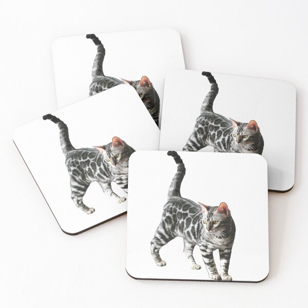 Artikelvorschau, Bengalkatze Kätzchen Silber gefleckte Schönheit entworfen und verkauft von ElegantCat.