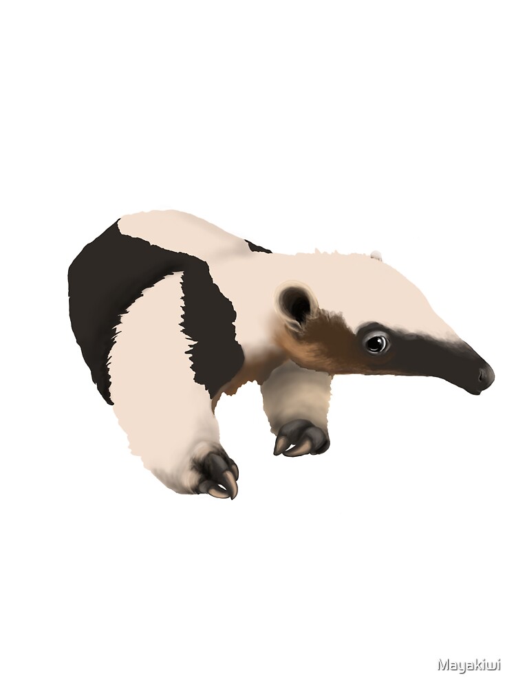 T Shirt Enfant Tamandua Bebe Par Mayakiwi Redbubble