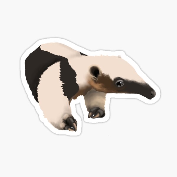 Flavvore Tamandua Pose Sticker for Sale by voreflav