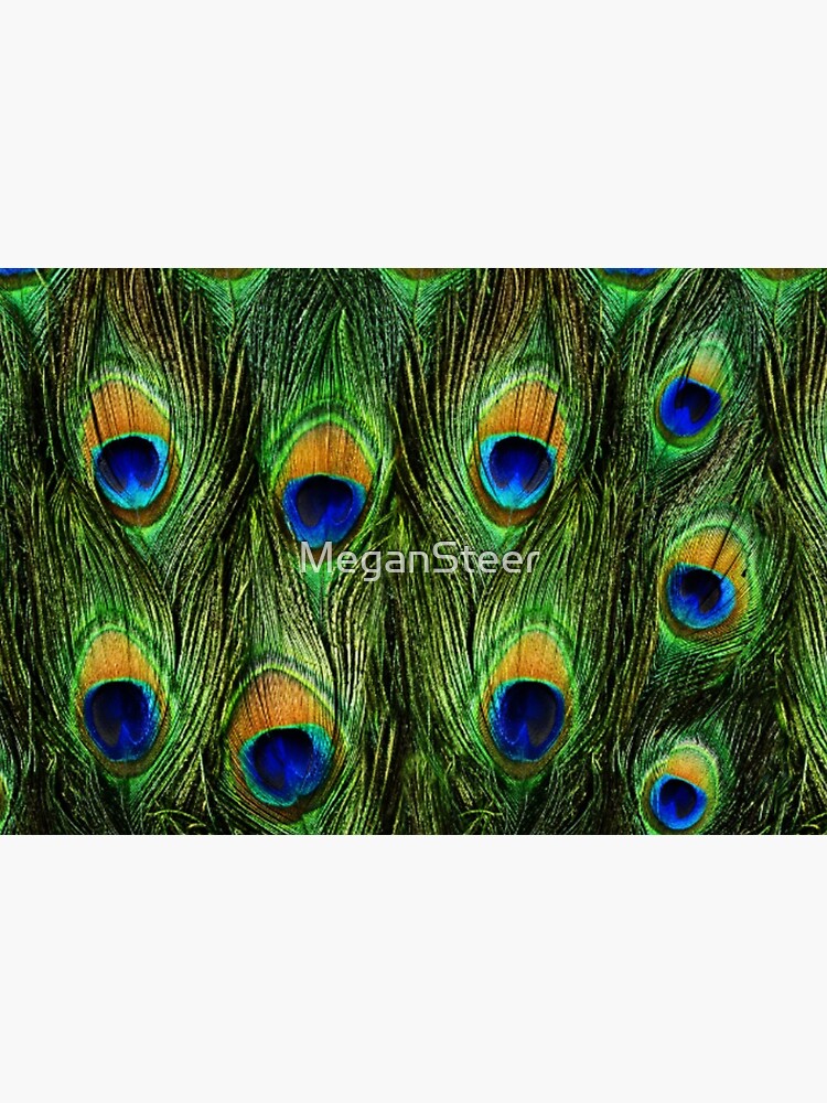 Peacock Feathers and Indigo Velvet by MeganSteer